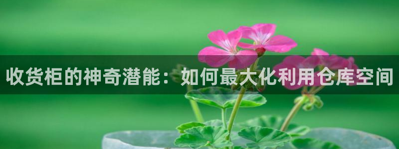 杏运注册平台：收货柜的神奇潜能：如何最大