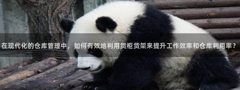 杏运注册登录