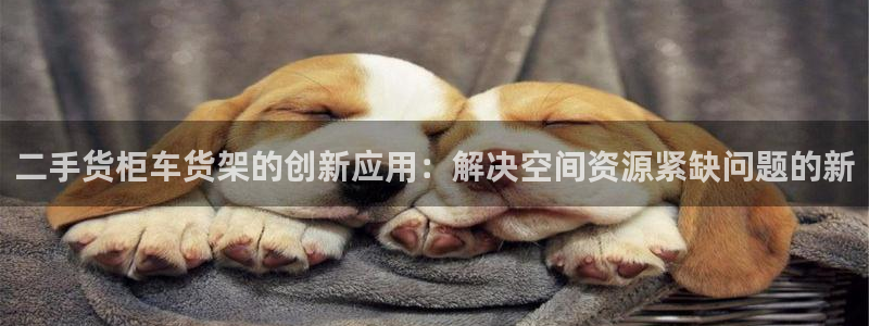 杏运注册：二手货柜车货架的创新应用：解决