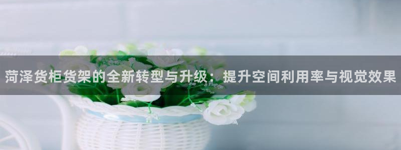 杏运体育app：菏泽货柜货架的全新转型与