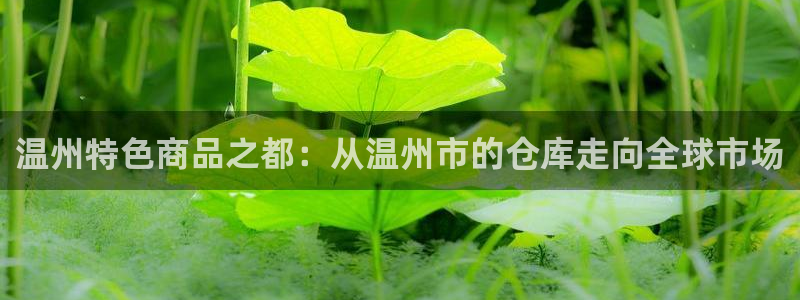 杏运汽车招商