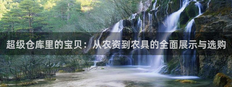 杏运体育