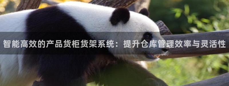 杏运平台注册：智能高效的产品货柜货架系统