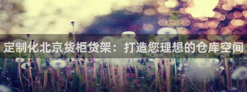 杏运体育app：定制化北京货柜货架：打造