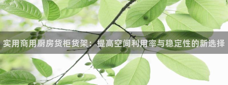 杏运相伴：实用商用厨房货柜货架：提高空间
