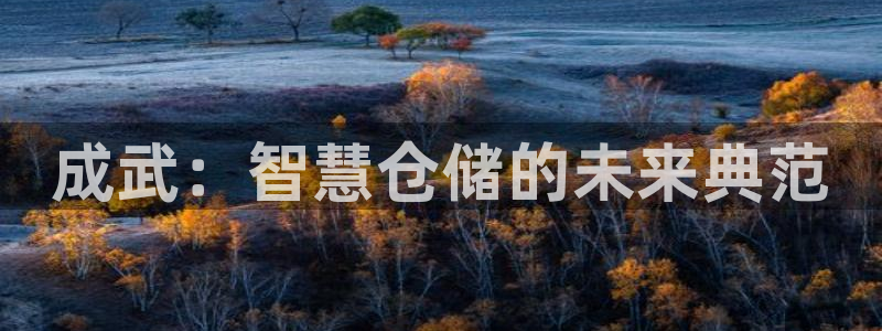 杏运平台官网