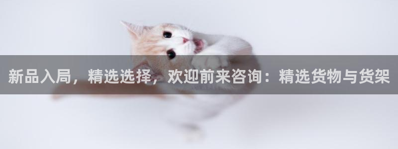 杏运体育app下载安装手机版：新品入局，