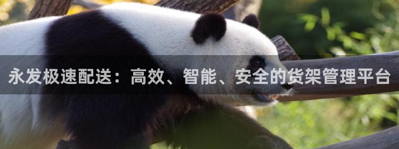 杏运体育登录：永发极速配送：高效、智能、