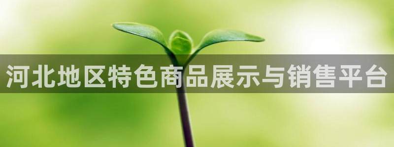 杏运体育不给出款