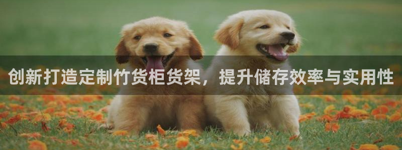 杏运注册登录地址