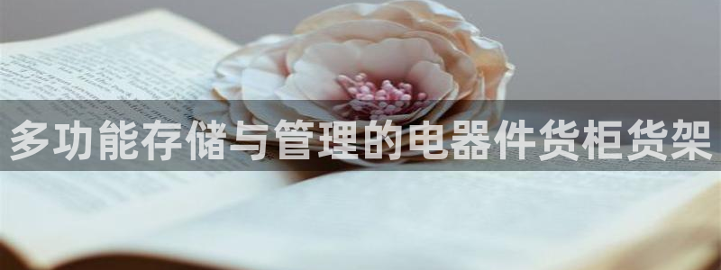 杏运体育平台：多功能存储与管理的电器件货