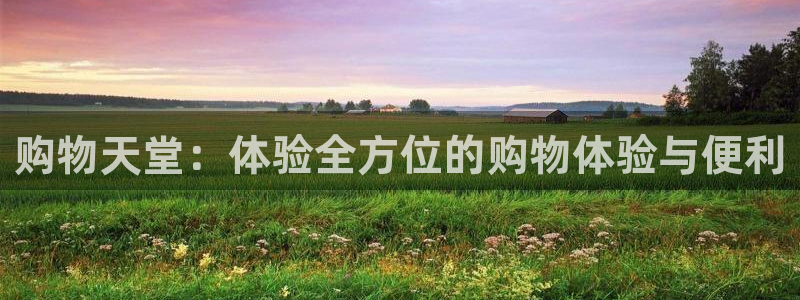 杏运平台官网：购物天堂：体验全方位的购物