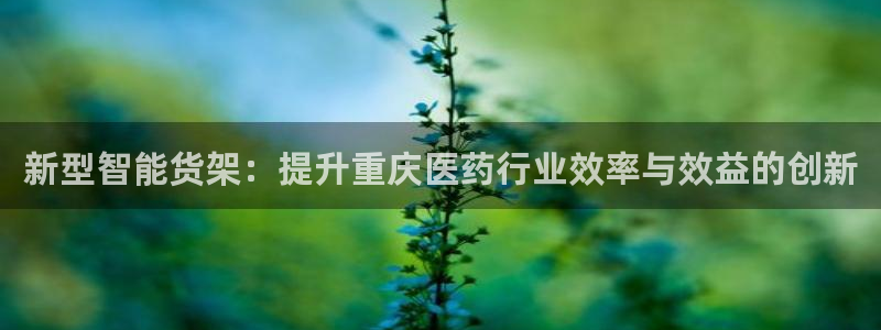 杏运体育官方网址登录：新型智能货架：提升