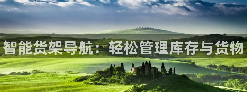 杏运新能源：智能货架导航：轻松管理库存与